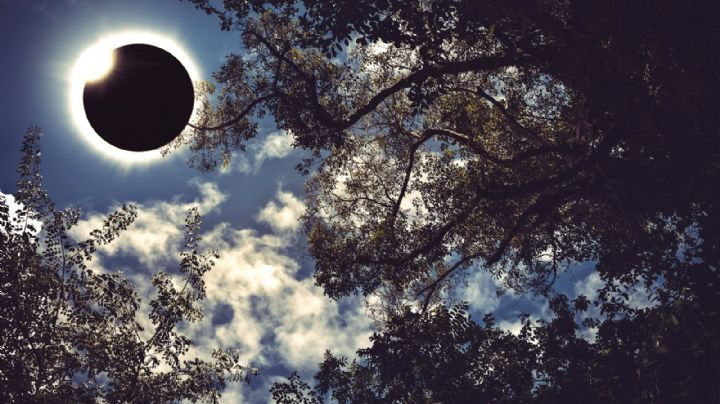 Cmo afectar en los signos los efectos del Eclipse de Luna