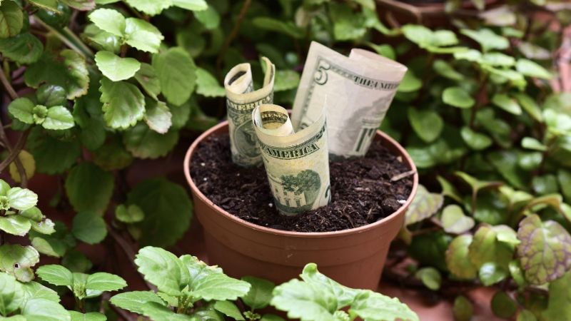 Las plantas que te ayudarán con la abundancia en 2023 según el Feng Shui