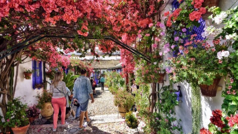Los Patios de Córdoba son una experiencia para todos los sentidos que tienes que conocer