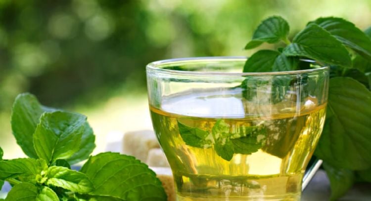 Tu jardín puede guardar dos plantas que te ayudarán a mejorar el colon irritable