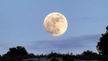 Calendario Lunar del 30 de marzo: fase menguante en Sagitario, la energía de fuego y fruto